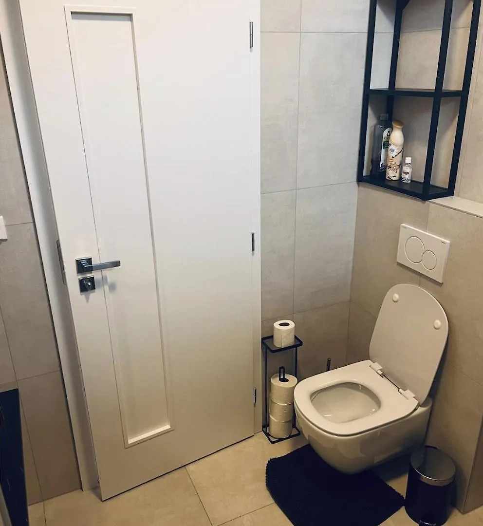 Apartman Auerswaldova Apartment Brno